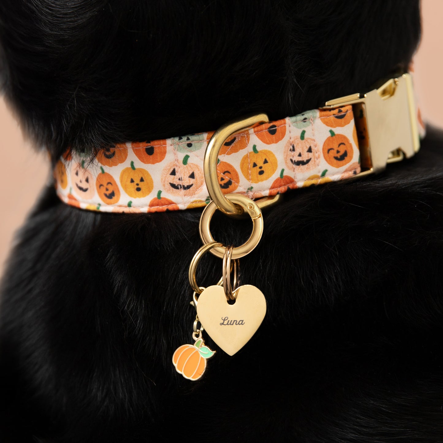 Pumpkin Collar Charm from The Foggy Dog