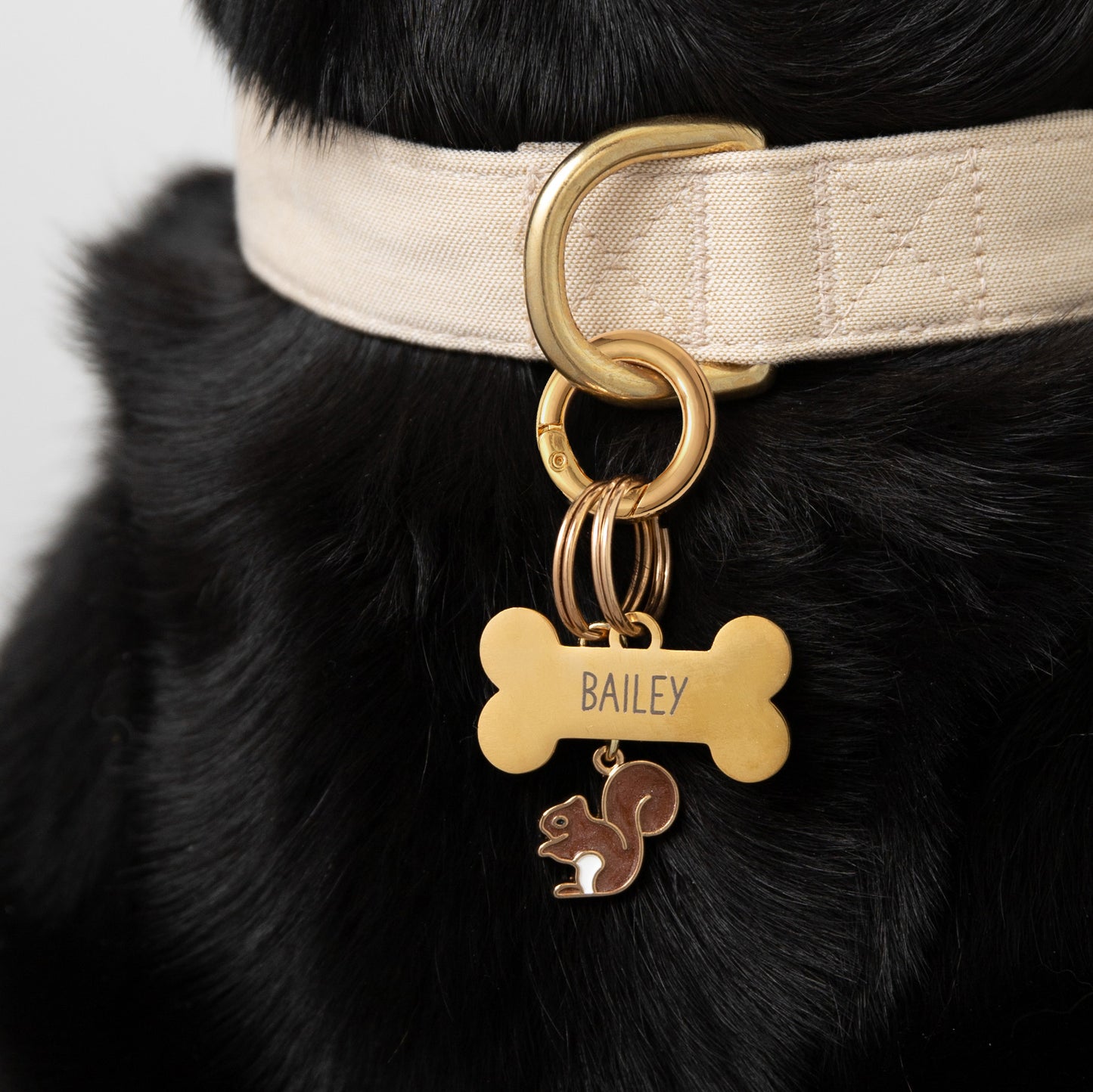 Squirrel Collar Charm from The Foggy Dog