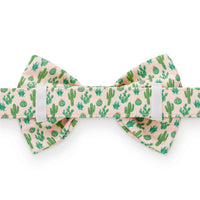 Desert Cactus Dog Bow Tie from The Foggy Dog