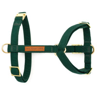 Evergreen Dog Harness from The Foggy Dog