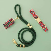 Apple of My Eye Collar Walk Set from The Foggy Dog