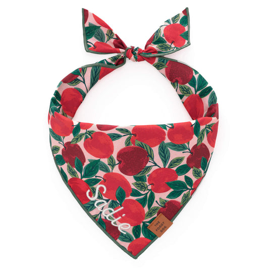 Apple of My Eye Dog Bandana from The Foggy Dog