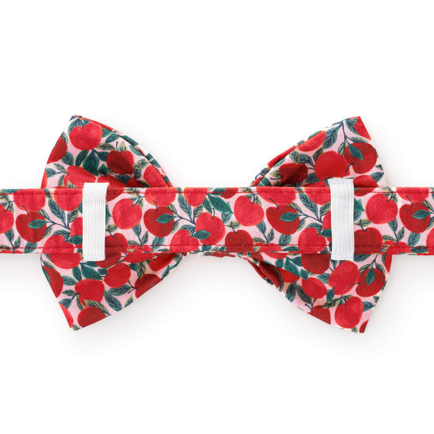 Apple of My Eye Dog Bow Tie from The Foggy Dog