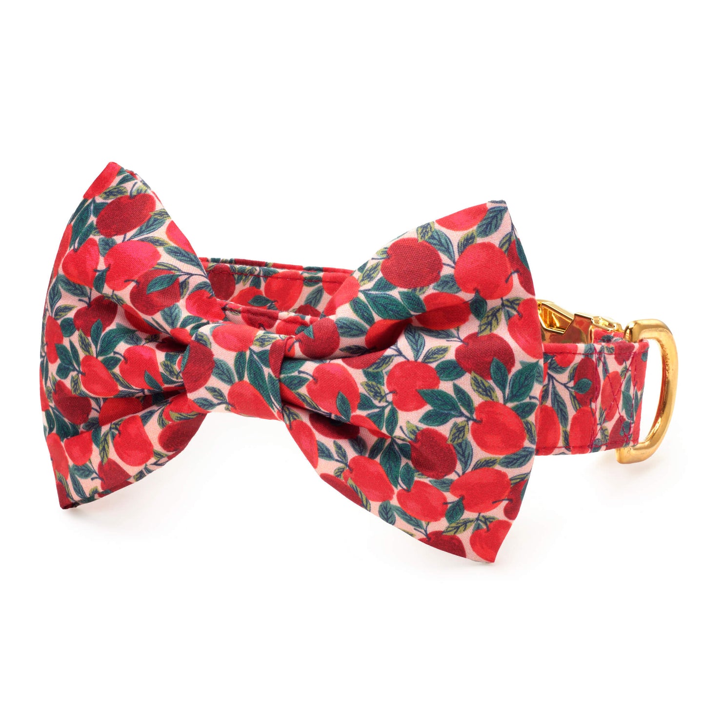 Apple of My Eye Bow Tie Collar from The Foggy Dog