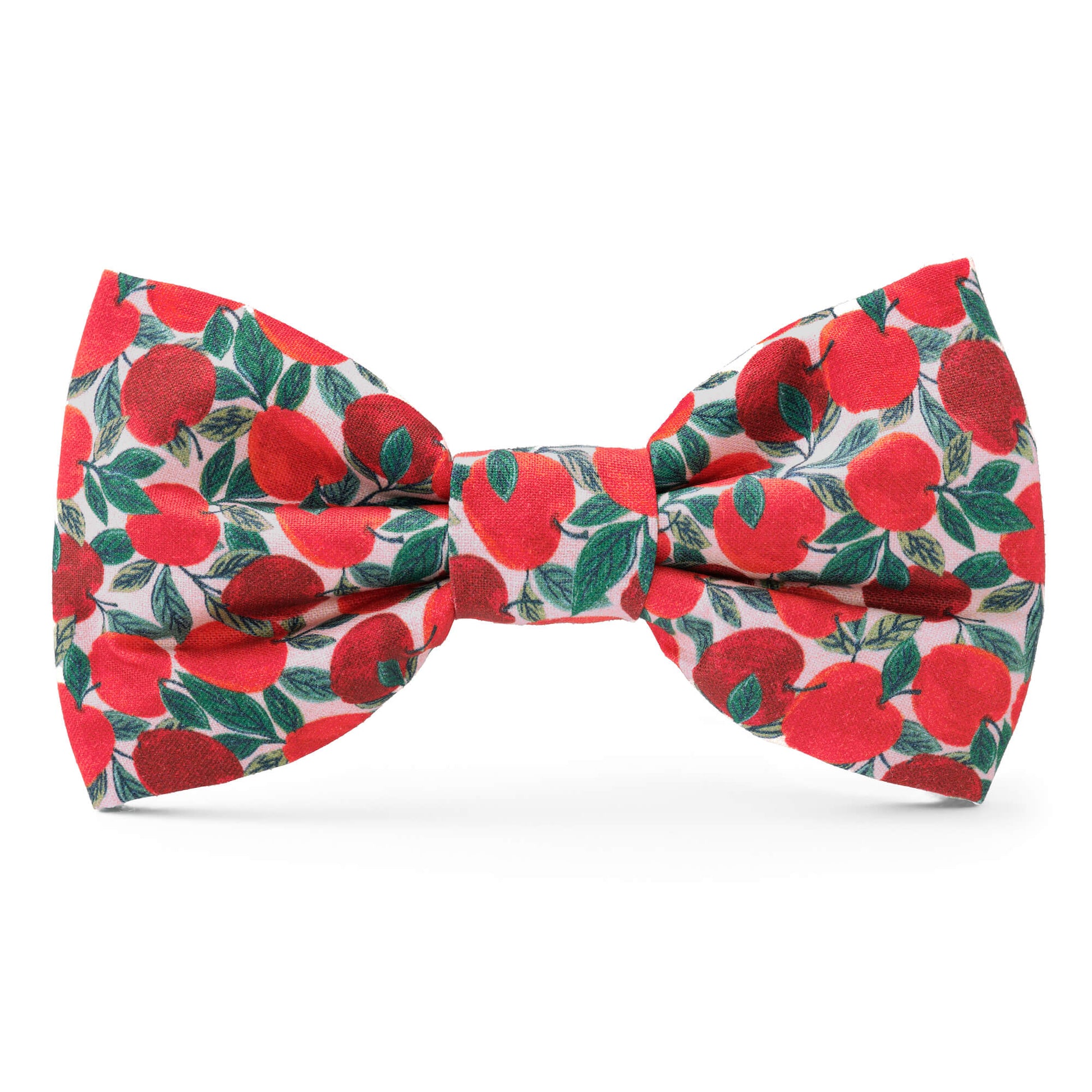 Apple of My Eye Dog Bow Tie from The Foggy Dog