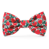 Apple of My Eye Dog Bow Tie from The Foggy Dog