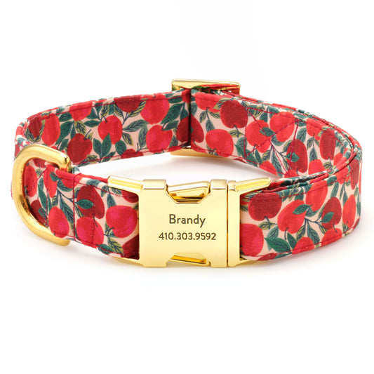 Apple of My Eye Dog Collar from The Foggy Dog