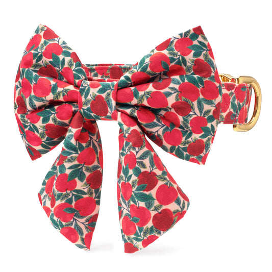 Apple of My Eye Lady Bow Collar from The Foggy Dog