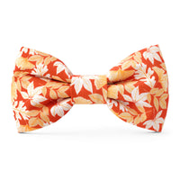 Autumn Leaves Rust Dog Bow Tie from The Foggy Dog