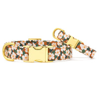 Chestnut Rose Dog Collar from The Foggy Dog