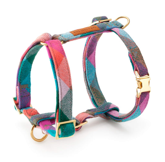 Color Pop Plaid Flannel Dog Harness from The Foggy Dog