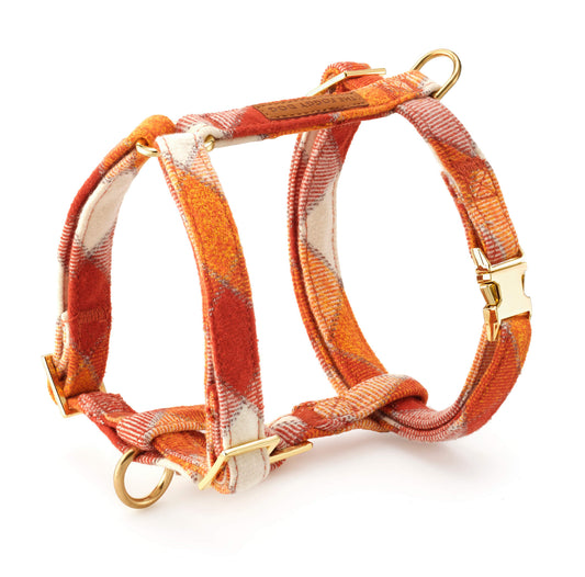 Pumpkin Spice Plaid Flannel Dog Harness from The Foggy Dog