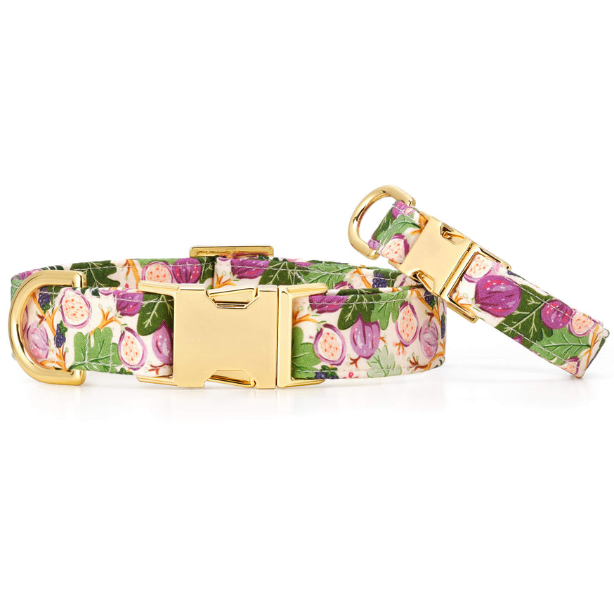 Berry Patch Dog Collar – The Foggy Dog