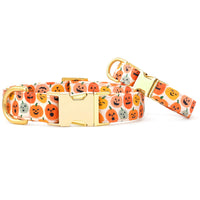 Jack-o’-Lanterns Dog Collar from The Foggy Dog