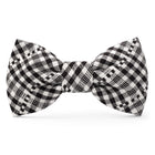 Heather Taylor Home x TFD Soho Black Dog Bow Tie