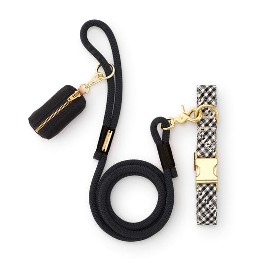 Heather Taylor Home x TFD Soho Black Collar Walk Set from The Foggy Dog