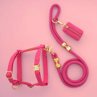 Hot Pink Harness Walk Set from The Foggy Dog