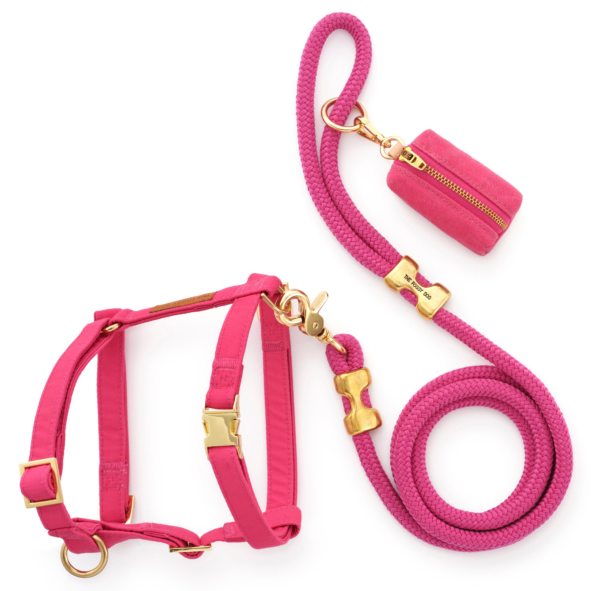 Foggy dog fashion leash