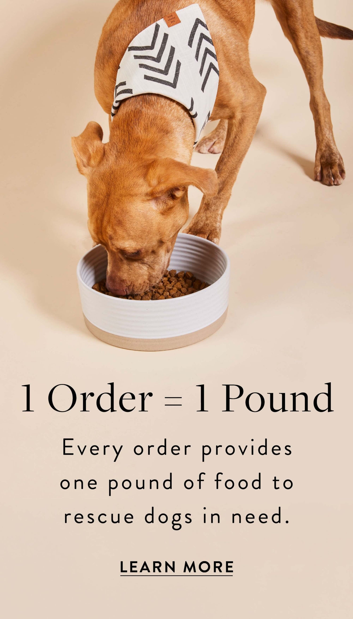 Every Order Feeds a Shelter Dog at The Foggy Dog