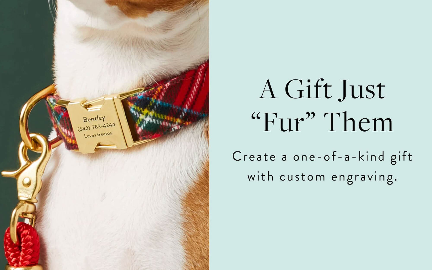 Personalize Collars at The Foggy Dog