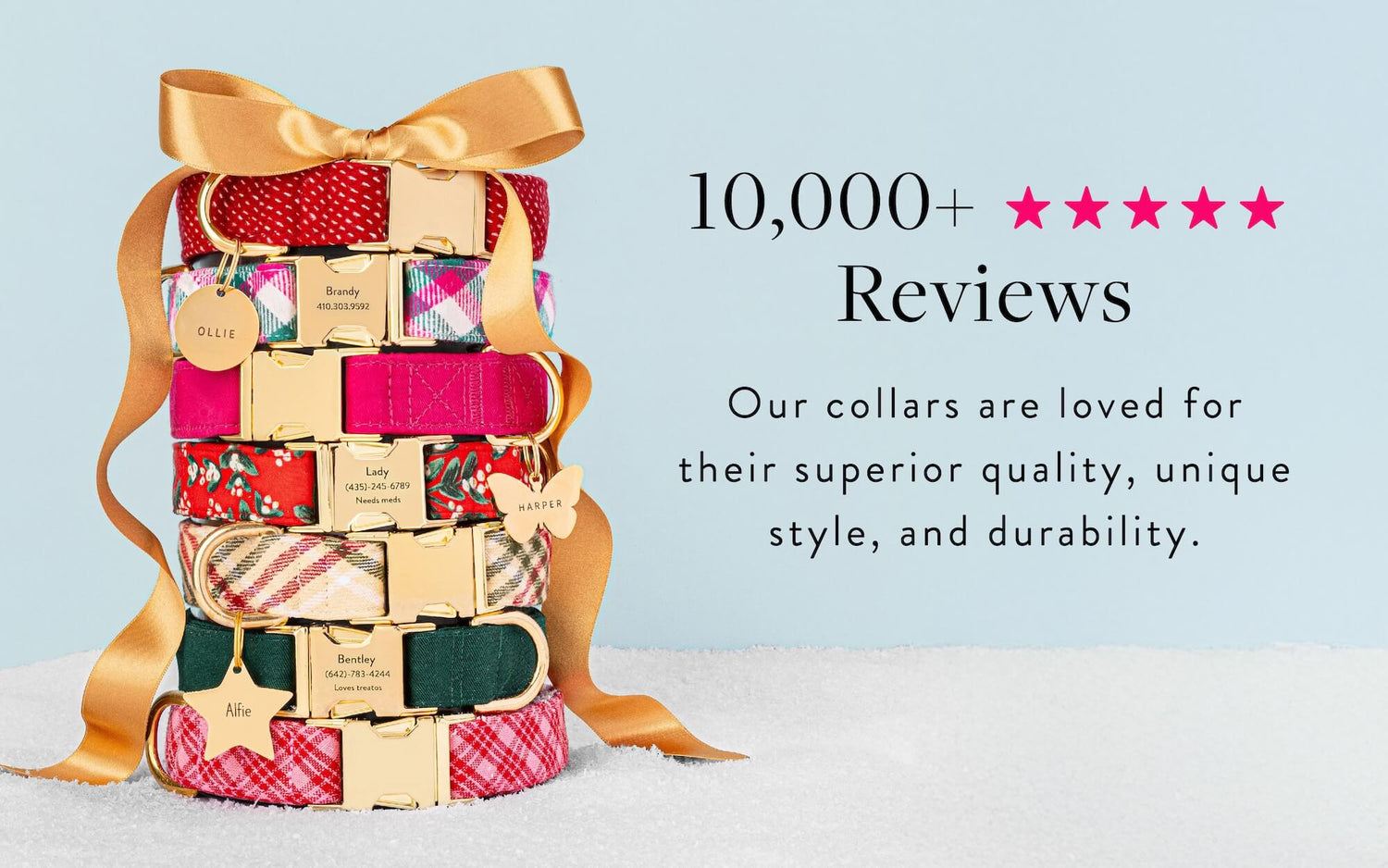 10,000+ Reviews for Collars from The Foggy Dog