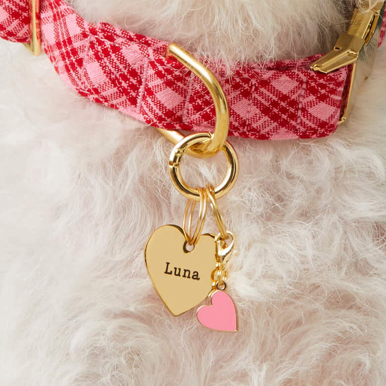 Heather Taylor Home x TFD Katherine Plaid Valentine Collar, Heart ID Tag, Heart Charm, and Pet Tag Keeper from The Foggy Dog