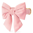 Blush Pink Velvet Lady Bow Collar