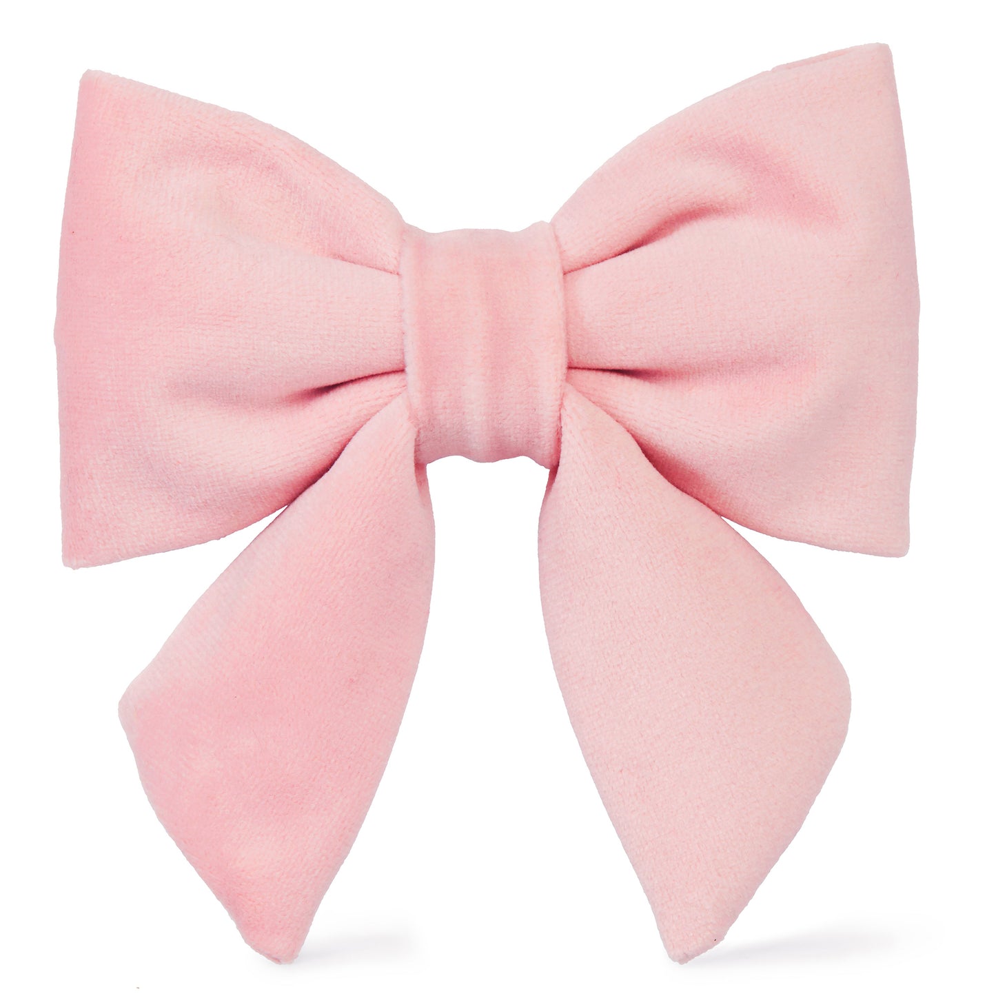 Blush Pink Velvet Lady Dog Bow from The Foggy Dog