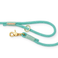 Spearmint Climbing Rope Dog Leash from The Foggy Dog