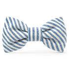 Lake Blue Stripe Dog Bow Tie