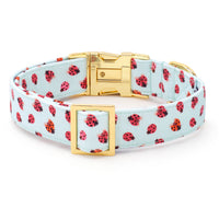 Love Bug Dog Collar from The Foggy Dog