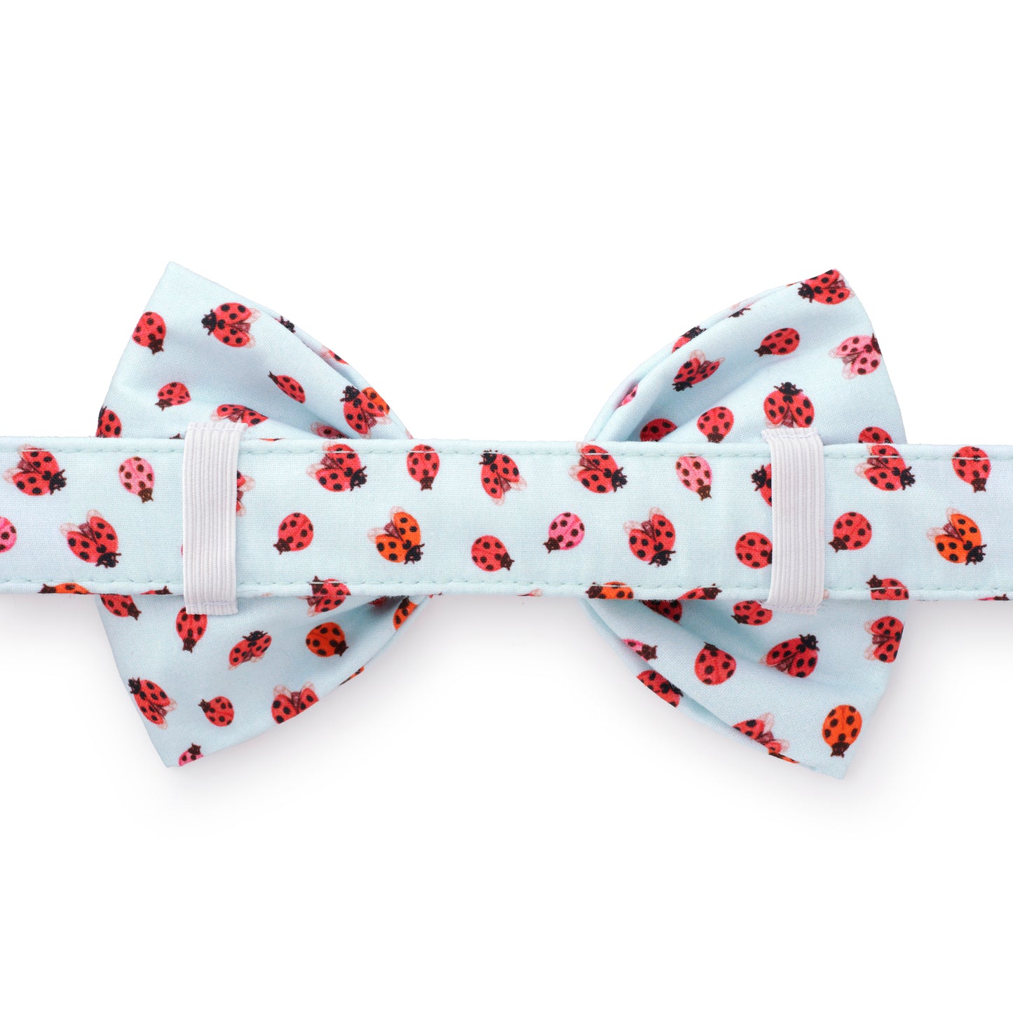 Love Bug Bow Tie Collar from The Foggy Dog