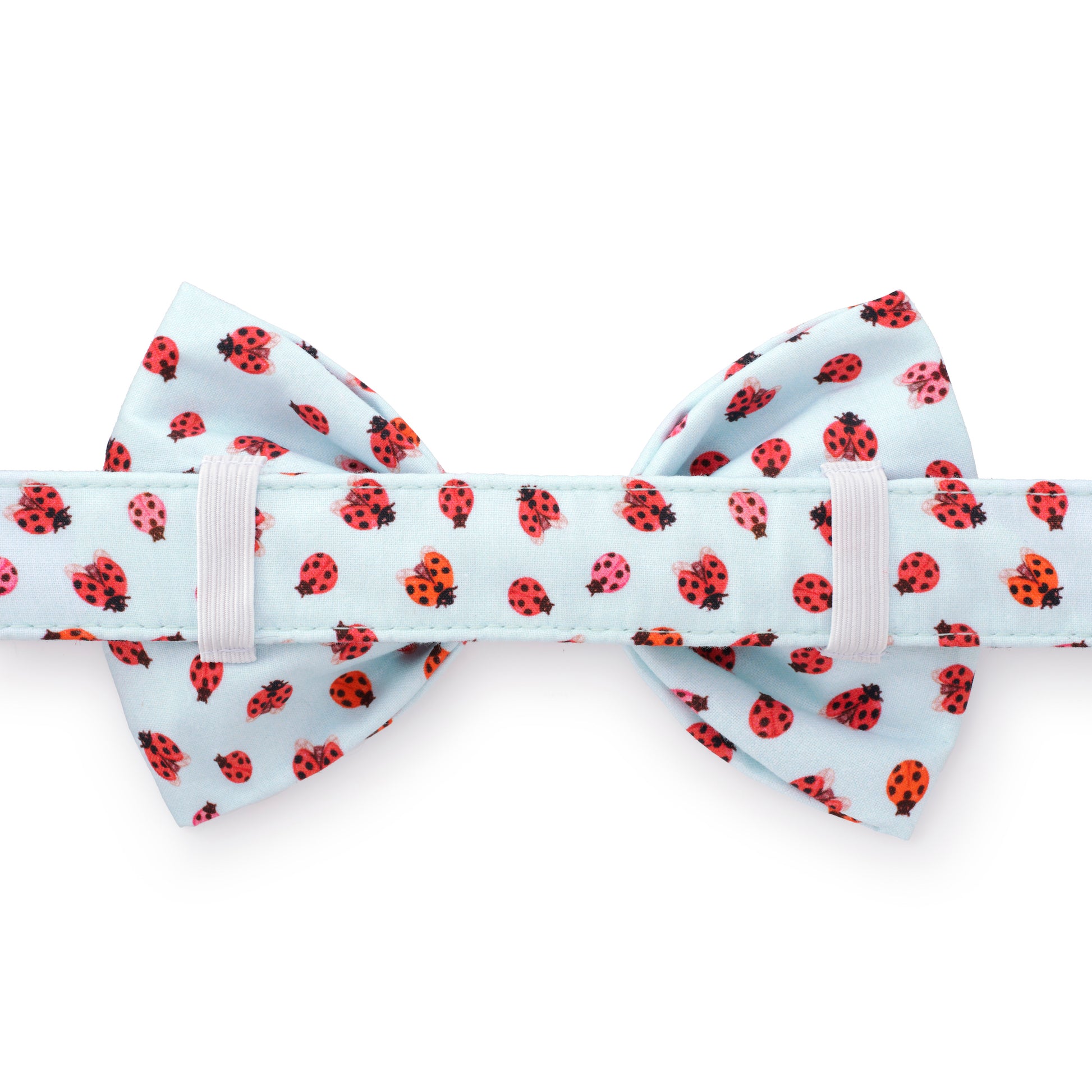 Love Bug Bow Tie Collar from The Foggy Dog