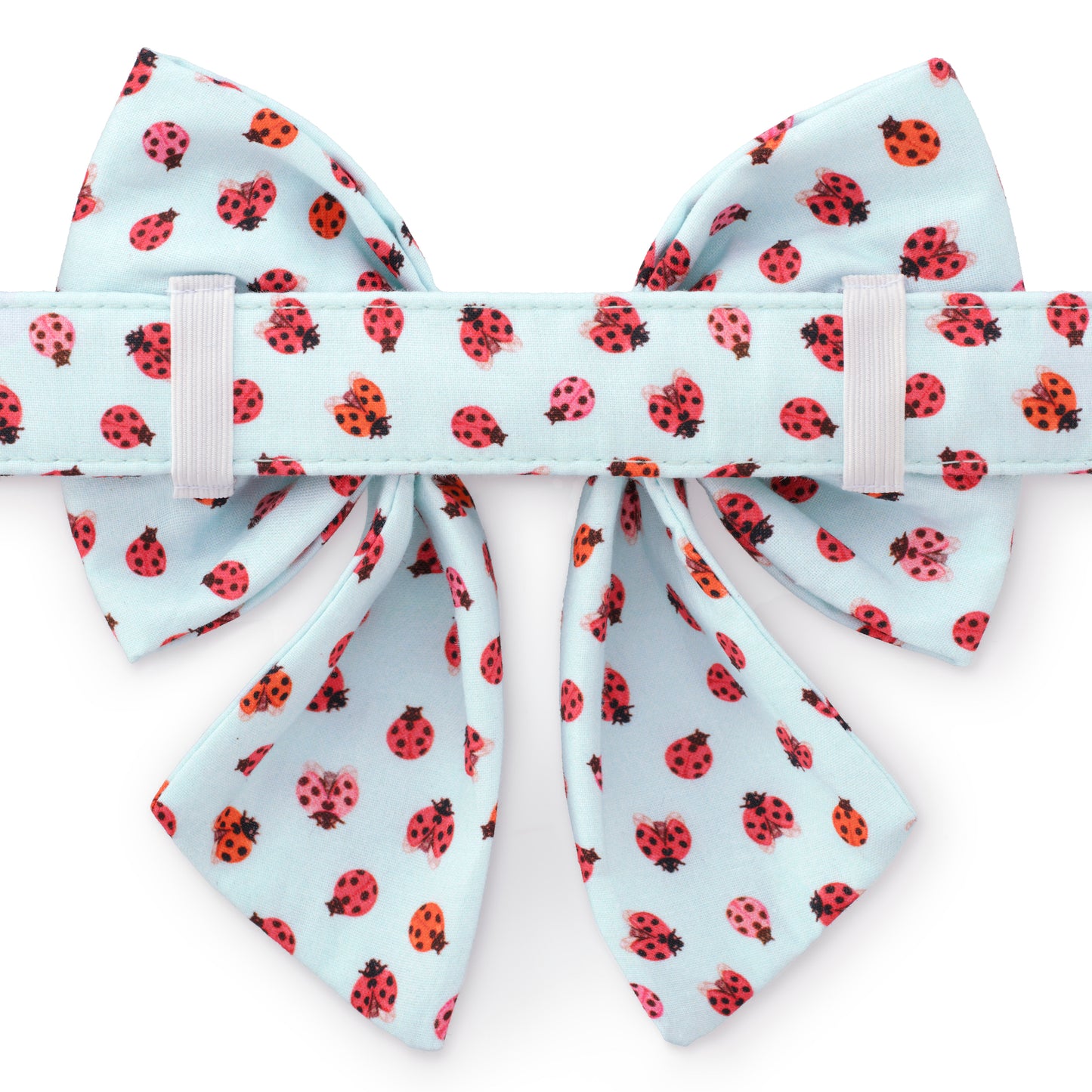 Love Bug Lady Bow Collar from The Foggy Dog