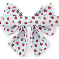 Love Bug Lady Bow Collar from The Foggy Dog