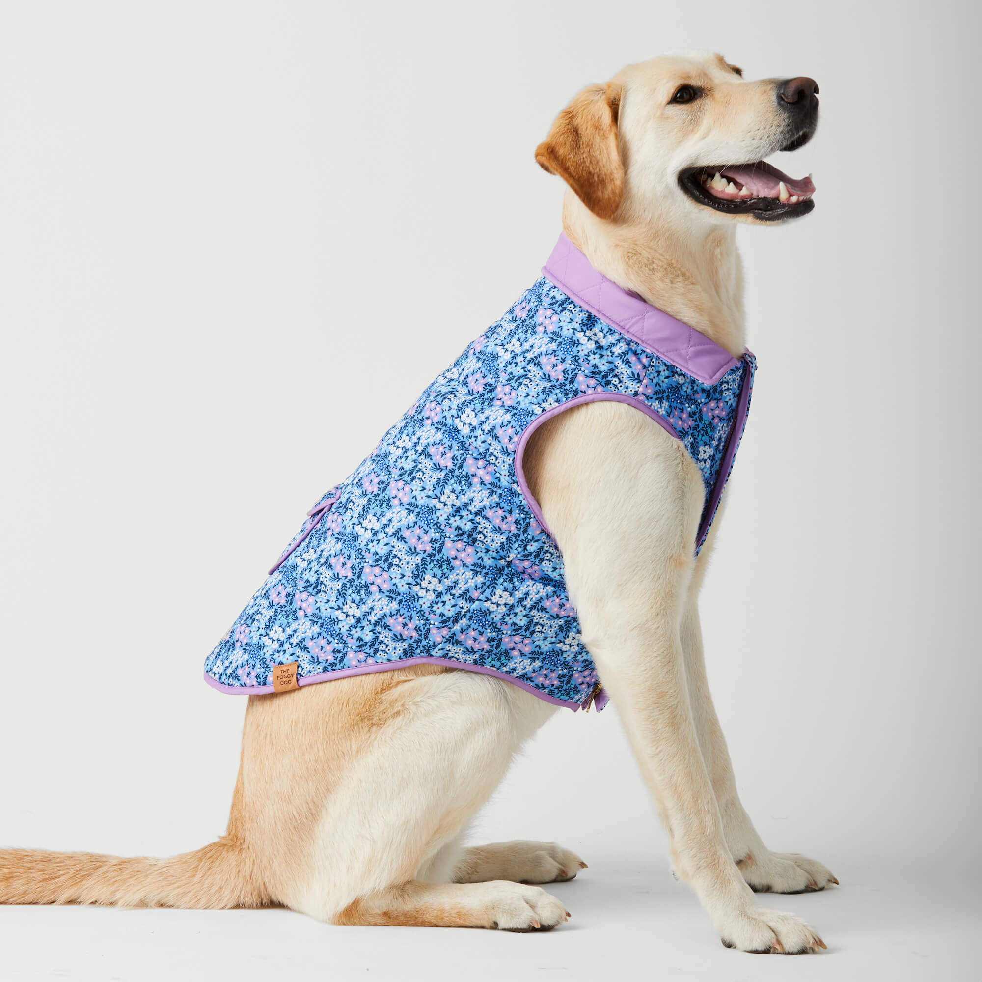 Mini Meadow Reversible Dog Jacket The Foggy Dog