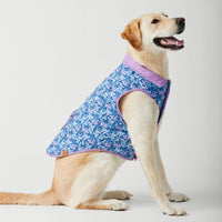 Mini Meadow Reversible Dog Jacket from The Foggy Dog