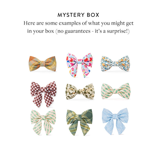 Bow Mystery Box from The Foggy Dog
