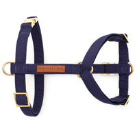 Ocean Dog Harness from The Foggy Dog