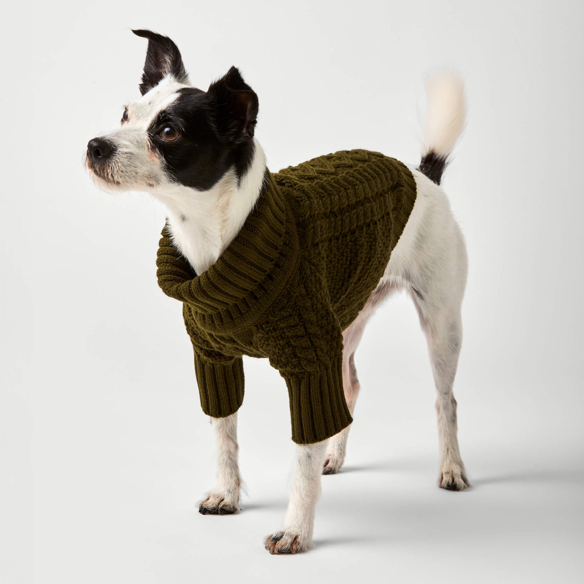 Olive Cable Knit Dog Sweater from The Foggy Dog