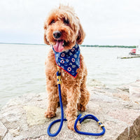 Ocean Marine Rope Dog Leash from The Foggy Dog