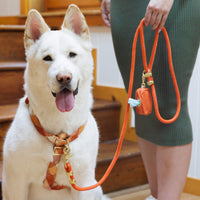 #Modeled by Mochi (70lbs) in a Large harness and Standard leash