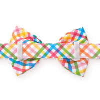 Rainbow Gingham Bow Tie Collar from The Foggy Dog