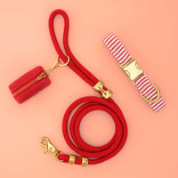 Red Stripe Collar Walk Set from The Foggy Dog