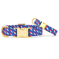 Rocket Pop Dog Collar from The Foggy Dog