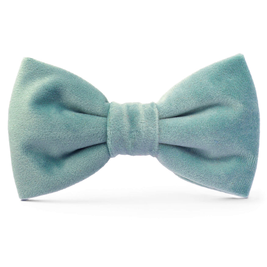 Black Velvet Bow Tie Collar – The Foggy Dog