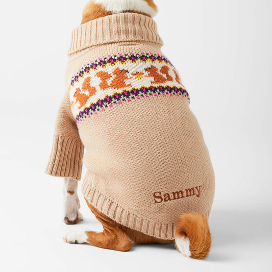 Squirrel Dog Sweater from The Foggy Dog