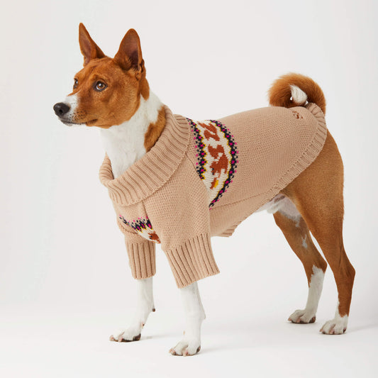 #Modeled by Ricky (27lbs) in Medium