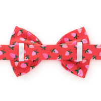 Berry Sweet Bow Tie Collar from The Foggy Dog