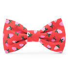 Berry Sweet Dog Bow Tie